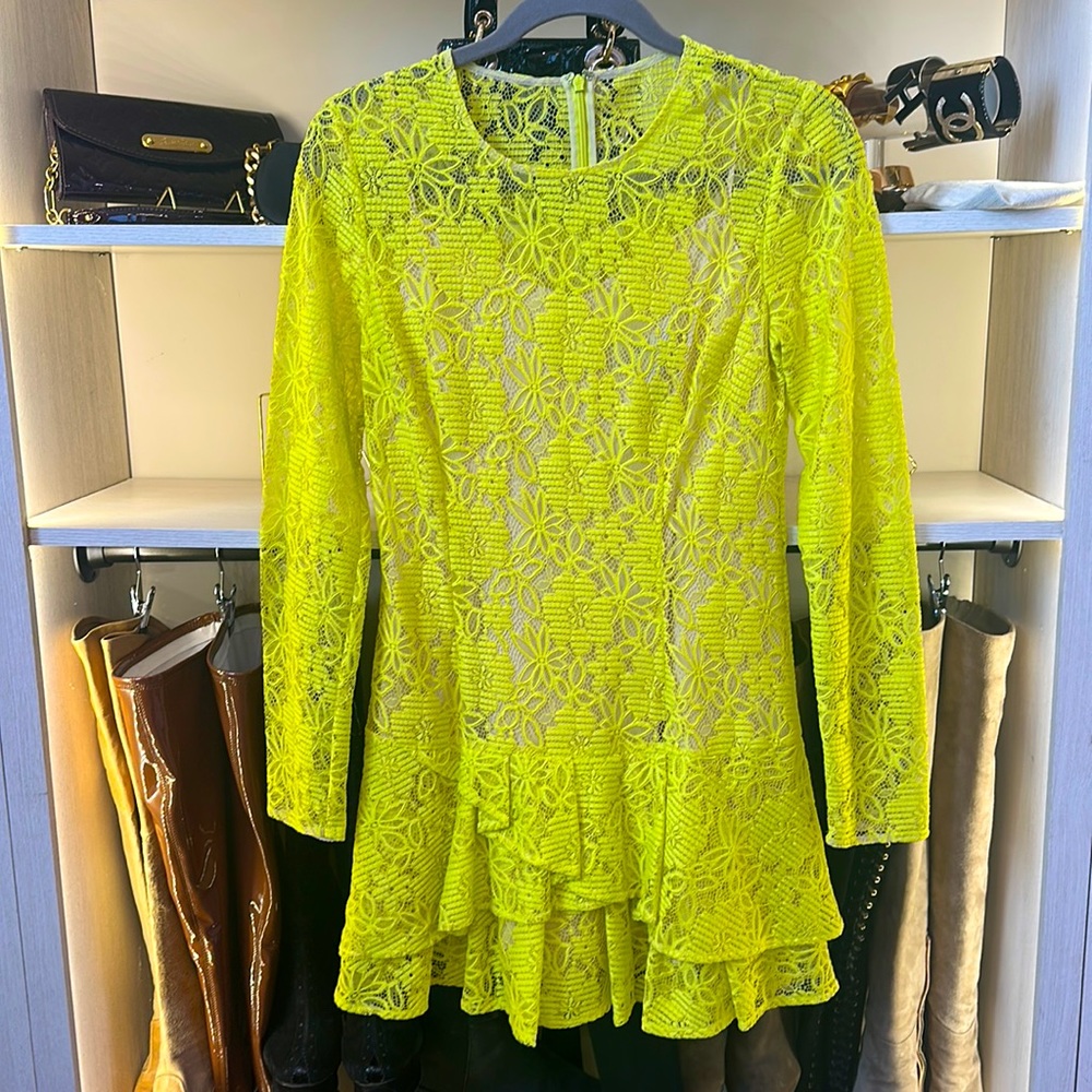 BCBG lemon grass long sleeve dress with attached nude slip. Back zipper . Size 4